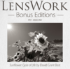 LensWork Bonus Edition #013.png