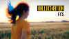 35847973-Hallucination-Effects.png