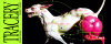 temp_aescripts_banner_2x_2025-04-14_22.57.52.png