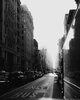 IMG_6854.jpeg