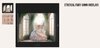 ethereal fairy gown overlays.jpg