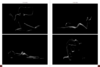 upload_2025-6-4_19-1-30.png