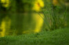 Series3-231.jpg
