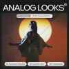 analoglooksmain3.jpg