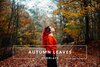Autumn-Leaves-overlay-sample.jpg