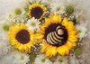 Sunflower-Bee-With-or-Without-The-Bee-2.jpg