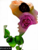 upload_2025-9-21_20-9-24.png