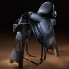 saddle-thumbnail.jpg