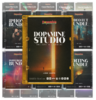 THEDOPAMINESTUDIOBUNDLE001.png
