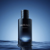 Sauvage-Dior-700.jpg