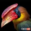 Tim-Flach-live-conversation-square2.jpg
