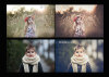 Lightroom-Presets-Retro-Look-6.jpg