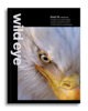 wildeye_mag_cover_mock_Issue06-820x1024.png