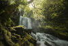 Radiant-Falls-2024-4K-Cover.jpg