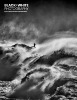 BW313-cover.jpg