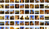 upload_2026-5-18_18-50-7.png