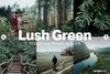 ss lush green 2.jpg