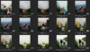 Screenshot 2026-07-11 170435.png