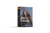 film_editions_box_set-1.png