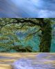 patino-landscape-intimates.jpg