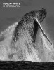 BW317-cover.jpg